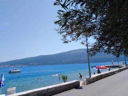 Apartman Gušt (Apartman Gust) in Baosici