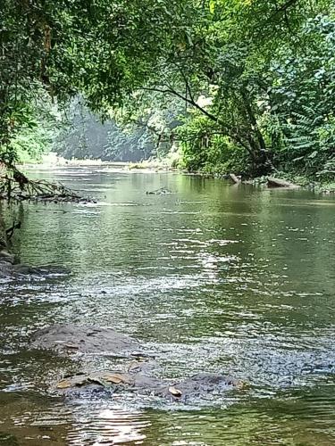 Chullikandam Forest Vacation Home