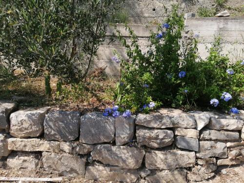  Apartman Smilja / Solin in Solin