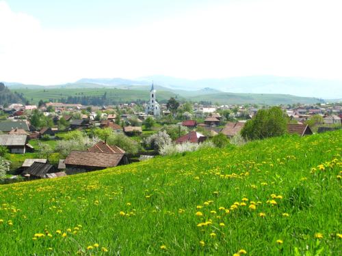 Cazare la Mitică