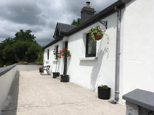 Cottage at Youghal Bridge