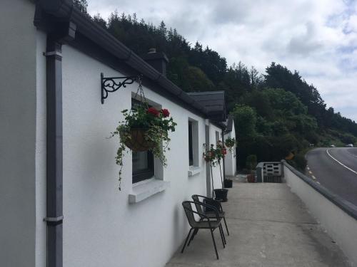 Cottage at Youghal Bridge