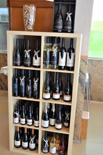 Hotel Santa Catarina Algarve - image 2