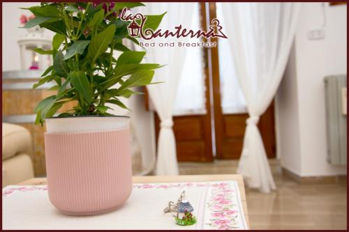 "B&B La Lanterna" – Alberobello, LA