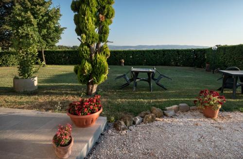 Bed & Breakfast Al Pian d'Assisi