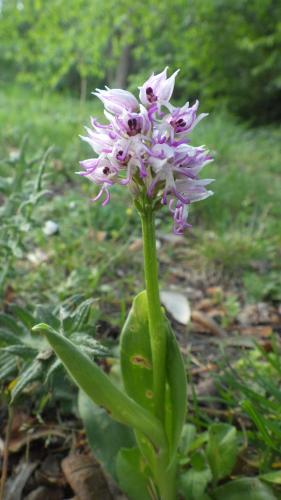 Le Manoir de la Baldette photo 22