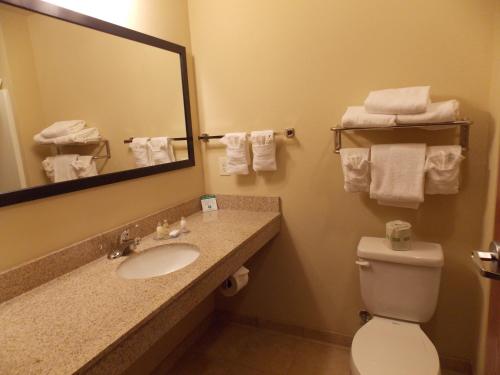 Cobblestone Hotel and Suites - Crookston