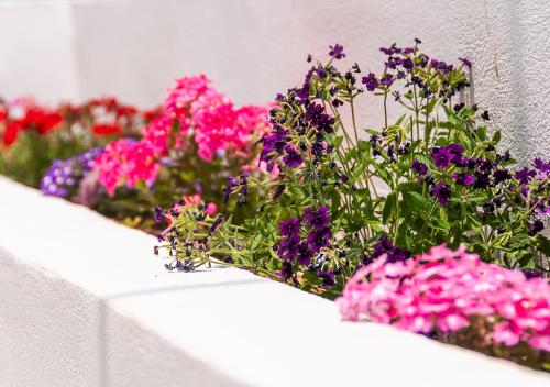 Epavli Boutique Hotel - image 8