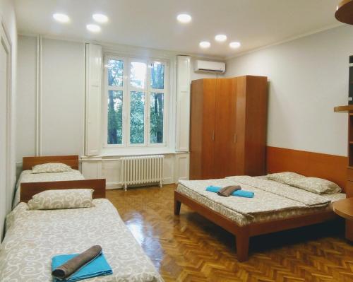 Downtown apartment in walk zone with 3 bedrooms and garage