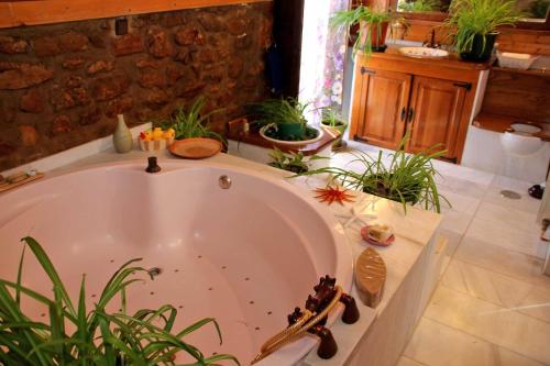 Spa, Molino Rodete in 利巴爾希梅拉