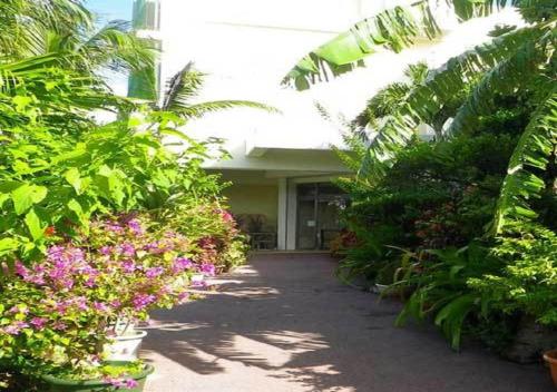 Ishigaki - Hotel / Vacation STAY 37379