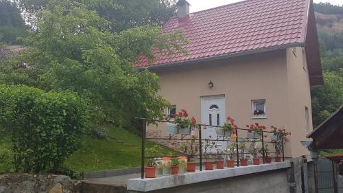 Accommodation in Comuna Roşia Montană