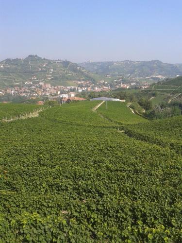 Agriturismo Ai Piacentini - image 4