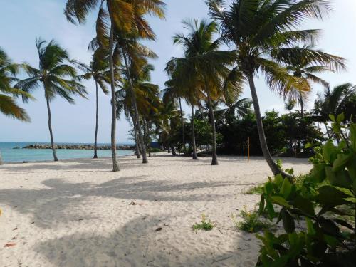 Beach, Studio West-indies residence Savane et Archipel in Gosier