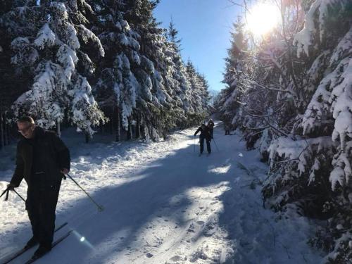  Tiny House 151, Ferienwohnung in Durbuy