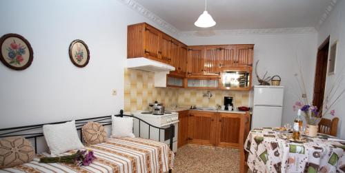  Krinos Apartment in Naxos Chora