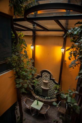 Chalet del Carmen, Coyoacan - 정원