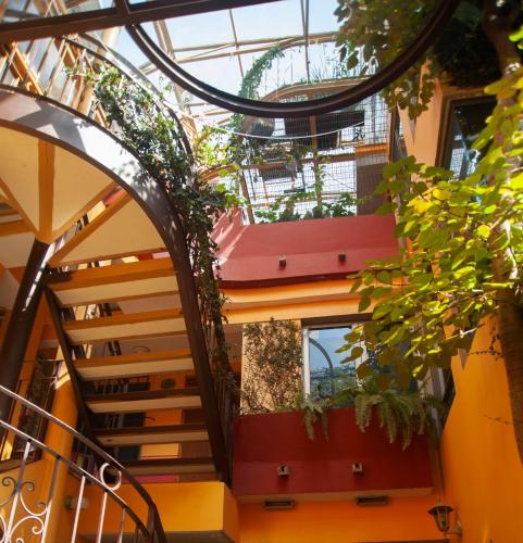 Chalet del Carmen, Coyoacan - 숙소 외관