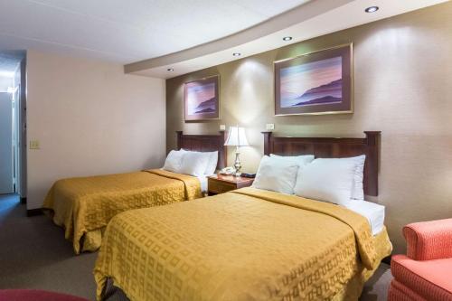 Plaza Inn & Suites - main image