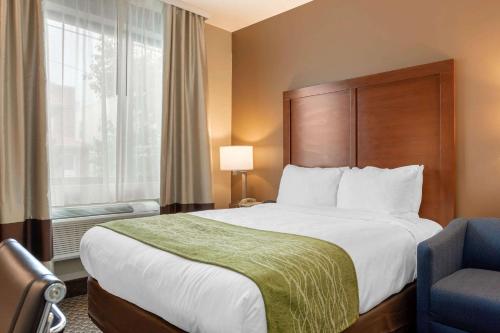 Comfort Inn & Suites near JFK Air Train Located in John F. Kennedy International Airport, Comfort Inn & Suites is a perfect starting point from which to explore New York (NY). The property offers a wide range of amenities and perks to ensur