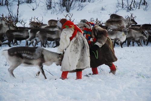 Lakselv Hotel - image 13