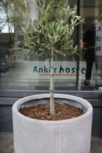 Anker Hostel