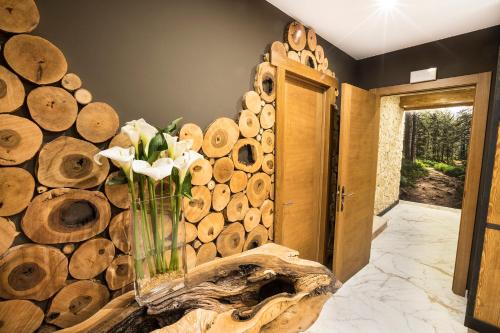 Létesítmények, Hotel Victor in Rialp