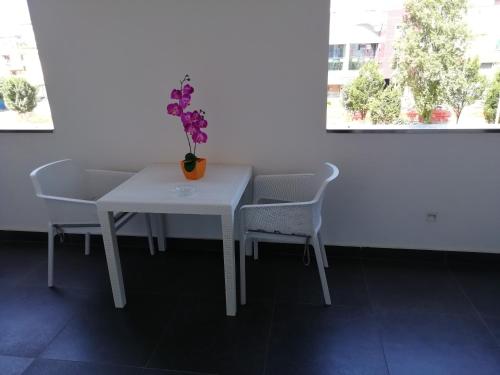 Manu's Guest Suite - image 13