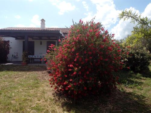 Casa Nerelie'S