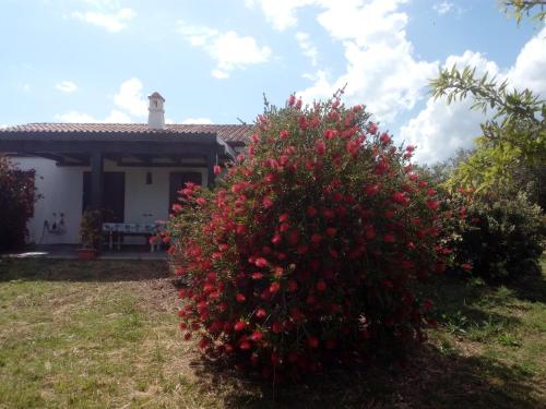 Casa Nerelie'S