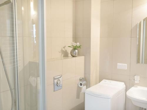 One-Bedroom Apartment image 4