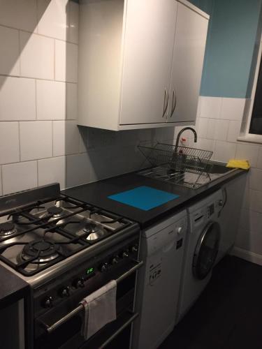 Marble Apartments Tooting House - image 9