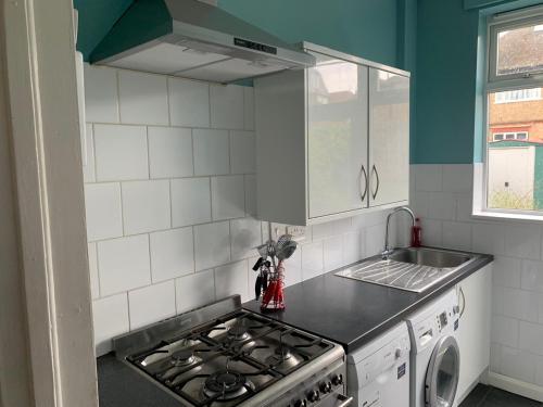 Marble Apartments Tooting House - image 13