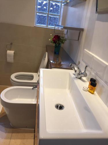Marble Apartments Tooting House – London