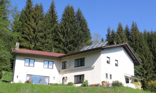 Ferienhaus Hollinger - Apartment - Afritz