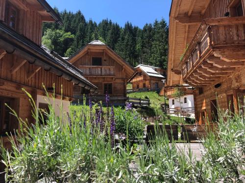 Bergdorf Riesner in Donnersbachwald, Österreich