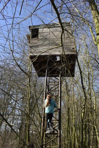 De Pastorie - image 12