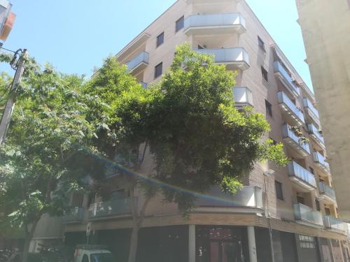 Piso Regina - image 2