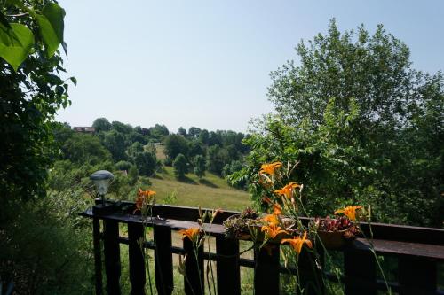 View, Seidl's Ilztalfewo in Witzmannsberg