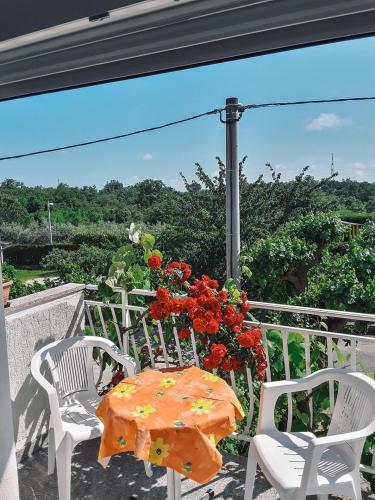  Apartments Marija in Umag