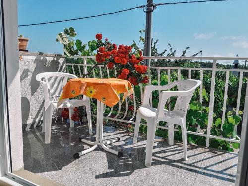  Apartments Marija in Umag