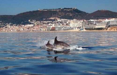  Sesimbra - Blue Sea in Sesimbra