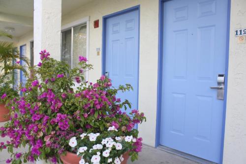 Americas Best Value Inn - Bradenton - main image