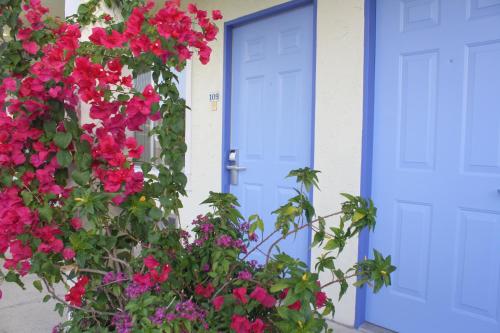 Americas Best Value Inn - Bradenton - image 2