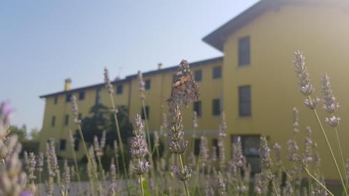  Agriturismo ai Casali in Palazzolo dello Stella