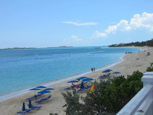 

Paradise Island Nat's Oasis