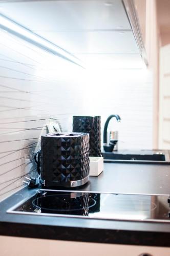 Cracow Jacuzzi Apartments - Silver Room