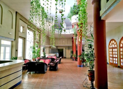  ESTUDIO grande con COCINA Wi-Fi hasta 4 personas in El Rocío