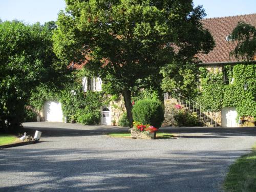 Domaine du Moulin de l'Etang - image 8