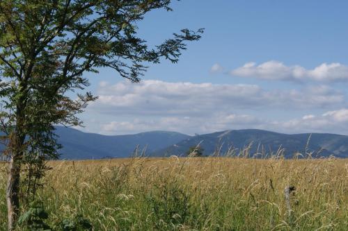 Valinka - chata pod rozhlednou Val, Červená Voda (foto 10)